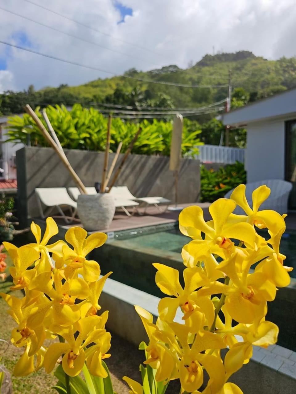 Villa Elodia By Le Duc Hotel & Villas Pointe Au Sel المظهر الخارجي الصورة